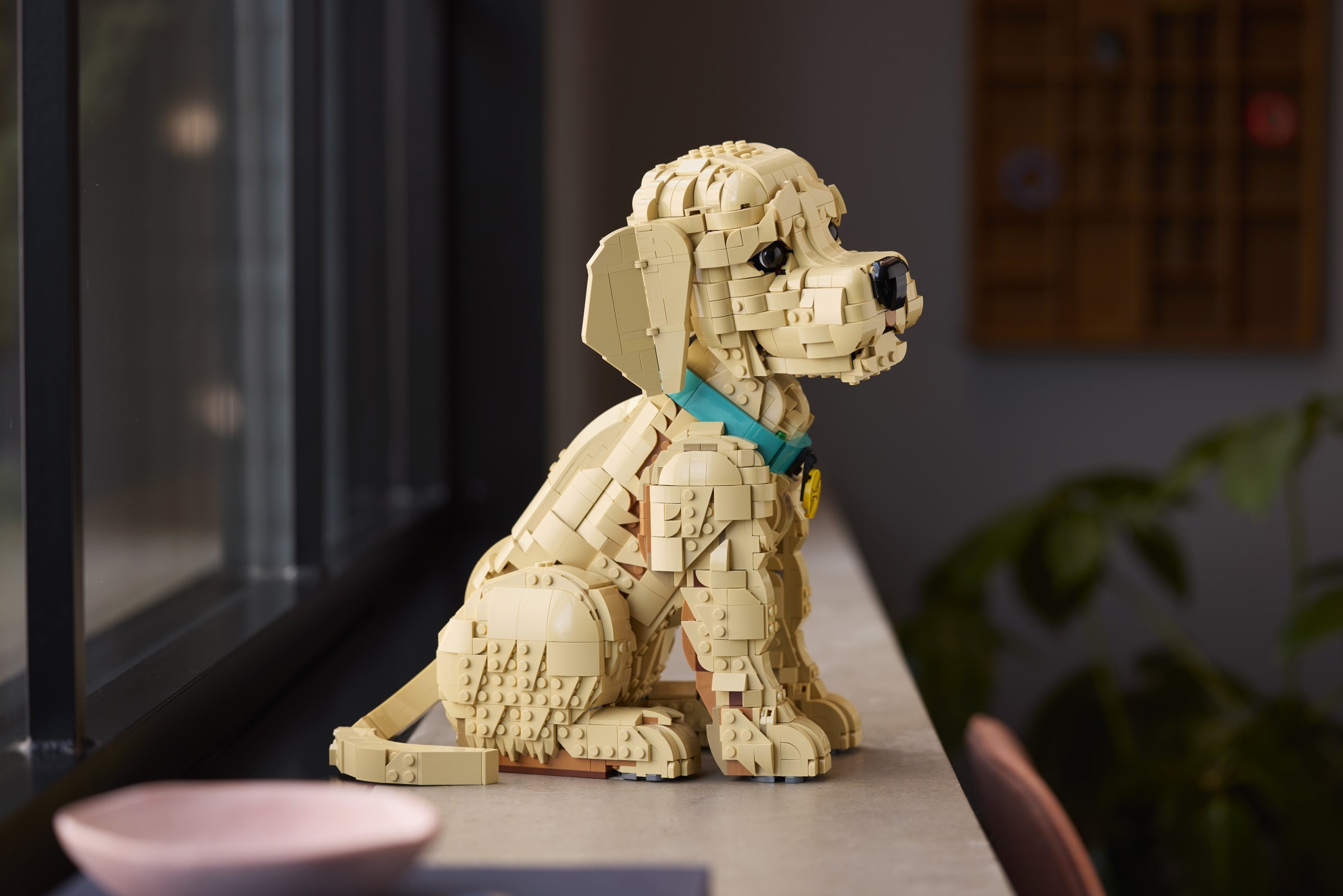 LEGO Icons 11384 Golden Retriever Puppy revealed! | Brickset